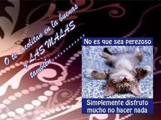 O te  acolitan en la buenas y LAS MALAS también…………