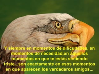 Y siempre en momentos de dificultades, en momentos de necesidad,en aquellos momentos en que te estás sintiendo triste...son exactamente en esos momentos en que aparecen los verdaderos amigos... 
