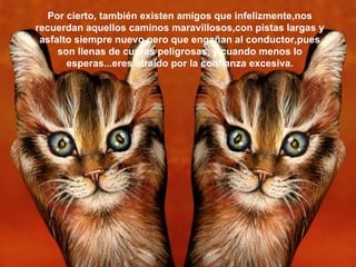 Por cierto, también existen amigos que infelizmente,nos recuerdan aquellos caminos maravillosos,con pistas largas y asfalto siempre nuevo,pero que engañan al conductor,pues son llenas de curvas peligrosas, y cuando menos lo esperas...eres atraído por la confianza excesiva. 