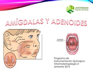 Programa de
Instrumentación Quirúrgica
Otorrinolaringología vI
semestre 2014
 
