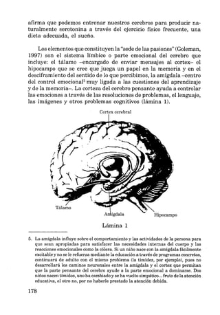 afirma que podemos entrenar nuestros cerebros para producir na-
turalmente serotonina a través del ejercicio físico frecuente, una
dieta adecuada, el sueño.
Los elementos que constituyen la "sede de las pasiones" (Goleman,
1997) son el sistema límbico o parte emocional del cerebro que
incluye: el tálamo -encargado de enviar mensajes al cortex- el
hipocampo que se cree que juega un papel en la memoria y en el
desciframiento del sentido de lo que percibimos, la amígdala -centro
del control emocional5
muy ligada a las cuestiones del aprendizaje
y de la memoria-. La corteza del cerebro pensante ayuda a controlar
las emociones a través de las resoluciones de problemas, el lenguaje,
las imágenes y otros problemas cognitivos (lámina 1).
Cortex cerebral
Hipocampo
Lámina 1
5. La amígdala influye sobre el comportamiento y las actividades de la persona para
que sean apropiadas para satisfacer las necesidades internas del cuerpo y las
reacciones emocionales como la cólera. Si un niño nace con la amígdala fácilmente
excitable y no se le refuerza mediante la educación a través de programas concretos,
continuará de adulto con el mismo problema (la timidez, por ejemplo), pues no
desarrollará los caminos neuronales entre la amígdala y el cortex que permitan
que la parte pensante del cerebro ayude a la parte emocional a dominarse. Dos
niños nacen tímidos, uno ha cambiado y se ha vuelto simpático... fruto de la atención
educativa, el otro no, por no haberle prestado la atención debida.
178
 