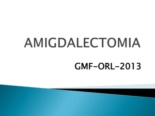 GMF-ORL-2013
 