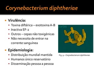 Neisseriagonorrhoeae