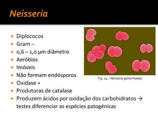 Colheita de ExsudadoPedir ao doente para respirar fundo 	com a boca abertaBaixar a língua com uma espátula