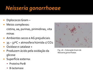Colocar a zaragatoa dentro de um tubo esterilizado, seco, adequadoColheita de ExsudadoNo caso de suspeita de Corynebacterium diphteriae ou Neisseria gonorrhoeae são necessários meios de cultura adequadosNunca refrigerar a amostra, manter à temperatura ambiente até a enviar
