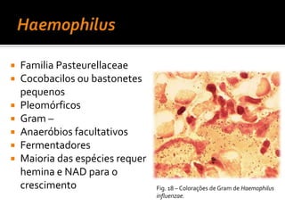Corynebacterium - estruturaParede celular:ArabinoseGalactoseÁcido mesodiaminopimélicoÁcidos micólicos de cadeias curtas (22-36 átomos C)Únicos corineformes com ác. MicólicosConfigurações em V ou YFig. 6 – Parede celular de Gram +.Fig. 7 – Parede celular de Corynebacterium.