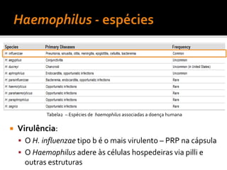 CorynebacteriumdiphtheriaeBastonete pleomórfico Gram +0,3 - 0,8 x 1,0 - 8,0 μmCresce bem em lípidosAnaeróbio facultativo4 biotipos:GravisMitisBelfantiIntermediusFig. 8 – Coloração Gram de Corynebacterium diphtheriae. Raramente associados à difteria