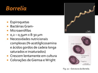 Administração de vacinasCorynebacteriumdiphtheriaeDifteria respiratória:Início súbitoFaringite exsudativaDor de gargantaFebre baixaMal-estarPseudomembrana espessa sobre a faringeDoentes críticos: obstrução respiratória, arrimias, coma e morteFig. 11 – Difteria respiratória – amigdalite supurativa.