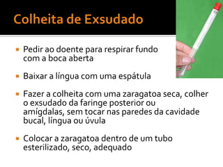 Etiologia viral ou bacteriana
