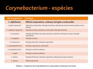 Etiologia BacterianaStreptococcuspyogenes