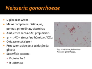 Colocar a zaragatoa dentro de um tubo esterilizado, seco, adequadoColheita de ExsudadoNo caso de suspeita de Corynebacterium diphteriae ou Neisseria gonorrhoeae são necessários meios de cultura adequadosNunca refrigerar a amostra, manter à temperatura ambiente até a enviar