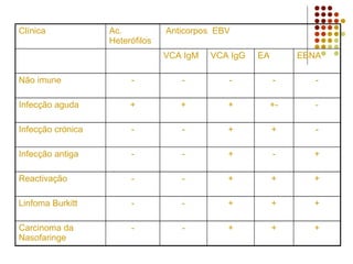 Clínica Ac.
Heterófilos
Anticorpos EBV
VCA IgM VCA IgG EA EBNA
Não imune - - - - -
Infecção aguda + + + +- -
Infecção crónica - - + + -
Infecção antiga - - + - +
Reactivação - - + + +
Linfoma Burkitt - - + + +
Carcinoma da
Nasofaringe
- - + + +
 