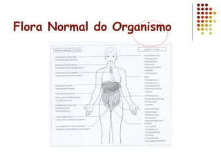 Flora Normal do Organismo
 