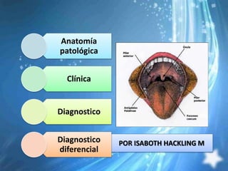 Anatomía
patológica


  Clínica


Diagnostico


Diagnostico   POR ISABOTH HACKLING M
diferencial
 