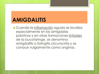 AMIGDALITIS
 Cuando la inflamación aguda se localiza
especialmente en las amígdalas
palatinas y en otras formaciones linfoides
de la bucofaringe, se denomina
amigdalitis o faringitis circunscrita y se
conoce vulgarmente como anginas.
 
