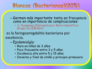 – Germen más importante tanto en frecuencia
como en importancia de complicaciones:
• S. Pyogenes (Estreptococo Beta Hemolítico
Grupo A) (EBHGA)
es la faringoamigdalitis bacteriana por
excelencia.
– Epidemiolgía:
• Rara en niños de 3 años
• Poco frecuente entre 3 y 5 años
• Incidencia alta entre 5 y 15 años
• Invierno y final de otoño y principio primavera
 