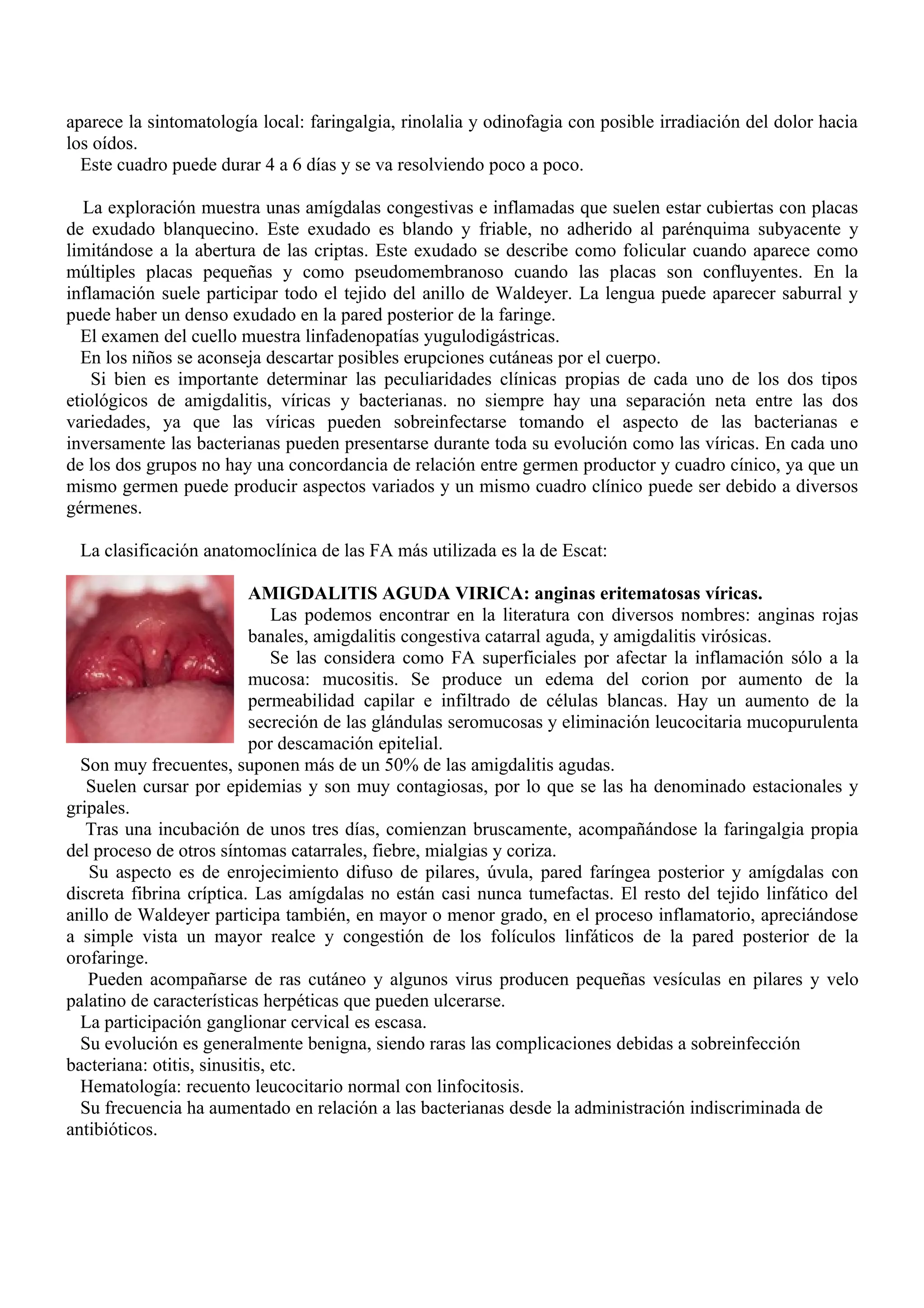 aparece la sintomatología local: faringalgia, rinolalia y odinofagia con posible irradiación del dolor hacia
los oídos.
  Este cuadro puede durar 4 a 6 días y se va resolviendo poco a poco.

   La exploración muestra unas amígdalas congestivas e inflamadas que suelen estar cubiertas con placas
de exudado blanquecino. Este exudado es blando y friable, no adherido al parénquima subyacente y
limitándose a la abertura de las criptas. Este exudado se describe como folicular cuando aparece como
múltiples placas pequeñas y como pseudomembranoso cuando las placas son confluyentes. En la
inflamación suele participar todo el tejido del anillo de Waldeyer. La lengua puede aparecer saburral y
puede haber un denso exudado en la pared posterior de la faringe.
  El examen del cuello muestra linfadenopatías yugulodigástricas.
  En los niños se aconseja descartar posibles erupciones cutáneas por el cuerpo.
    Si bien es importante determinar las peculiaridades clínicas propias de cada uno de los dos tipos
etiológicos de amigdalitis, víricas y bacterianas. no siempre hay una separación neta entre las dos
variedades, ya que las víricas pueden sobreinfectarse tomando el aspecto de las bacterianas e
inversamente las bacterianas pueden presentarse durante toda su evolución como las víricas. En cada uno
de los dos grupos no hay una concordancia de relación entre germen productor y cuadro cínico, ya que un
mismo germen puede producir aspectos variados y un mismo cuadro clínico puede ser debido a diversos
gérmenes.

 La clasificación anatomoclínica de las FA más utilizada es la de Escat:

                           AMIGDALITIS AGUDA VIRICA: anginas eritematosas víricas.
                               Las podemos encontrar en la literatura con diversos nombres: anginas rojas
                           banales, amigdalitis congestiva catarral aguda, y amigdalitis virósicas.
                               Se las considera como FA superficiales por afectar la inflamación sólo a la
                           mucosa: mucositis. Se produce un edema del corion por aumento de la
                           permeabilidad capilar e infiltrado de células blancas. Hay un aumento de la
                           secreción de las glándulas seromucosas y eliminación leucocitaria mucopurulenta
                           por descamación epitelial.
  Son muy frecuentes, suponen más de un 50% de las amigdalitis agudas.
   Suelen cursar por epidemias y son muy contagiosas, por lo que se las ha denominado estacionales y
gripales.
   Tras una incubación de unos tres días, comienzan bruscamente, acompañándose la faringalgia propia
del proceso de otros síntomas catarrales, fiebre, mialgias y coriza.
   Su aspecto es de enrojecimiento difuso de pilares, úvula, pared faríngea posterior y amígdalas con
discreta fibrina críptica. Las amígdalas no están casi nunca tumefactas. El resto del tejido linfático del
anillo de Waldeyer participa también, en mayor o menor grado, en el proceso inflamatorio, apreciándose
a simple vista un mayor realce y congestión de los folículos linfáticos de la pared posterior de la
orofaringe.
   Pueden acompañarse de ras cutáneo y algunos virus producen pequeñas vesículas en pilares y velo
palatino de características herpéticas que pueden ulcerarse.
  La participación ganglionar cervical es escasa.
  Su evolución es generalmente benigna, siendo raras las complicaciones debidas a sobreinfección
bacteriana: otitis, sinusitis, etc.
  Hematología: recuento leucocitario normal con linfocitosis.
  Su frecuencia ha aumentado en relación a las bacterianas desde la administración indiscriminada de
antibióticos.
 