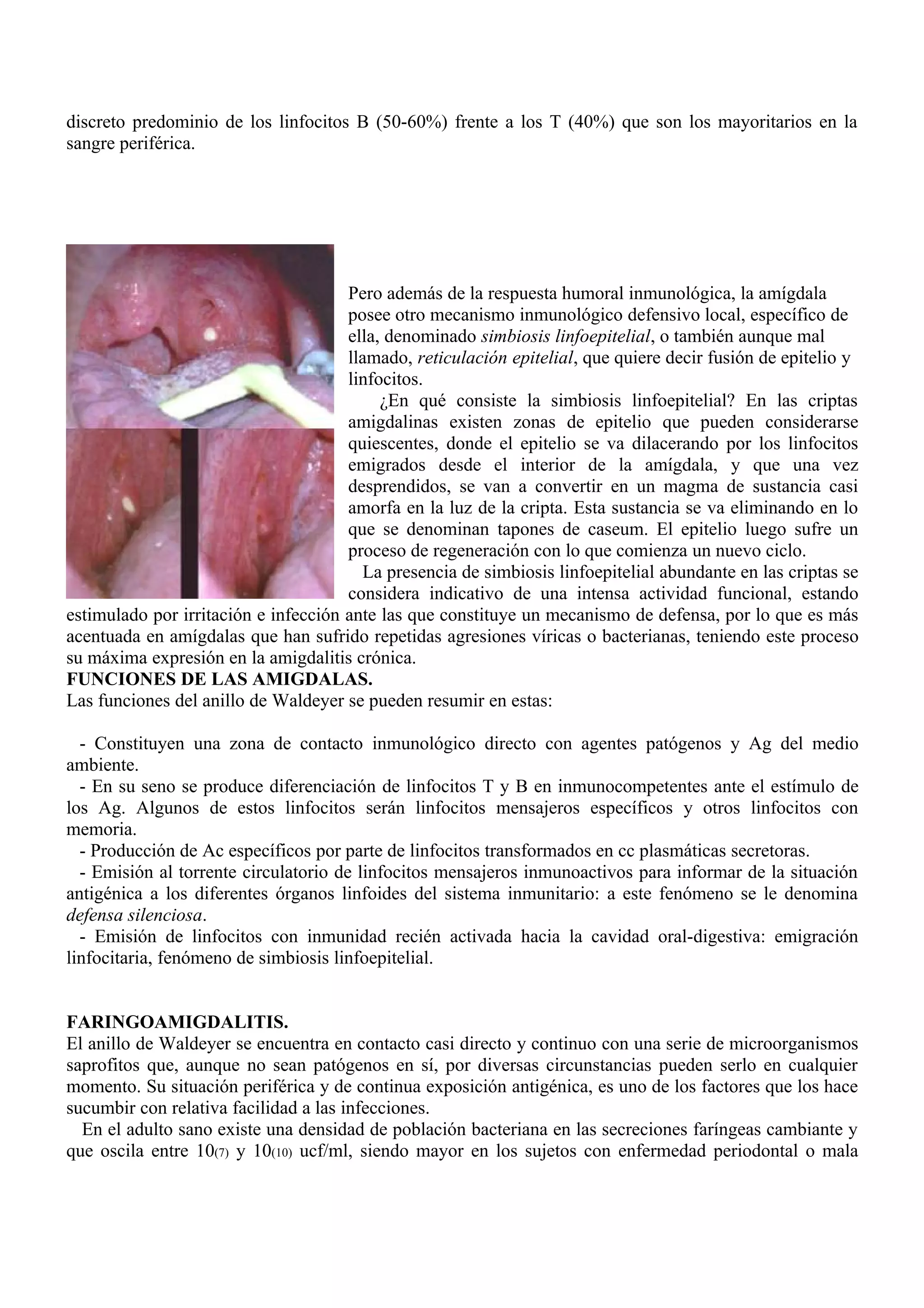discreto predominio de los linfocitos B (50-60%) frente a los T (40%) que son los mayoritarios en la
sangre periférica.




                                      Pero además de la respuesta humoral inmunológica, la amígdala
                                      posee otro mecanismo inmunológico defensivo local, específico de
                                      ella, denominado simbiosis linfoepitelial, o también aunque mal
                                      llamado, reticulación epitelial, que quiere decir fusión de epitelio y
                                      linfocitos.
                                           ¿En qué consiste la simbiosis linfoepitelial? En las criptas
                                      amigdalinas existen zonas de epitelio que pueden considerarse
                                      quiescentes, donde el epitelio se va dilacerando por los linfocitos
                                      emigrados desde el interior de la amígdala, y que una vez
                                      desprendidos, se van a convertir en un magma de sustancia casi
                                      amorfa en la luz de la cripta. Esta sustancia se va eliminando en lo
                                      que se denominan tapones de caseum. El epitelio luego sufre un
                                      proceso de regeneración con lo que comienza un nuevo ciclo.
                                        La presencia de simbiosis linfoepitelial abundante en las criptas se
                                      considera indicativo de una intensa actividad funcional, estando
estimulado por irritación e infección ante las que constituye un mecanismo de defensa, por lo que es más
acentuada en amígdalas que han sufrido repetidas agresiones víricas o bacterianas, teniendo este proceso
su máxima expresión en la amigdalitis crónica.
FUNCIONES DE LAS AMIGDALAS.
Las funciones del anillo de Waldeyer se pueden resumir en estas:

  - Constituyen una zona de contacto inmunológico directo con agentes patógenos y Ag del medio
ambiente.
  - En su seno se produce diferenciación de linfocitos T y B en inmunocompetentes ante el estímulo de
los Ag. Algunos de estos linfocitos serán linfocitos mensajeros específicos y otros linfocitos con
memoria.
  - Producción de Ac específicos por parte de linfocitos transformados en cc plasmáticas secretoras.
  - Emisión al torrente circulatorio de linfocitos mensajeros inmunoactivos para informar de la situación
antigénica a los diferentes órganos linfoides del sistema inmunitario: a este fenómeno se le denomina
defensa silenciosa.
  - Emisión de linfocitos con inmunidad recién activada hacia la cavidad oral-digestiva: emigración
linfocitaria, fenómeno de simbiosis linfoepitelial.


FARINGOAMIGDALITIS.
El anillo de Waldeyer se encuentra en contacto casi directo y continuo con una serie de microorganismos
saprofitos que, aunque no sean patógenos en sí, por diversas circunstancias pueden serlo en cualquier
momento. Su situación periférica y de continua exposición antigénica, es uno de los factores que los hace
sucumbir con relativa facilidad a las infecciones.
  En el adulto sano existe una densidad de población bacteriana en las secreciones faríngeas cambiante y
que oscila entre 10(7) y 10(10) ucf/ml, siendo mayor en los sujetos con enfermedad periodontal o mala
 