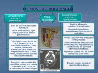 FLEMÓN LATEROFARÍNGEO
Compartimiento                                     Compartimiento
                                       Musc.          posterior o
  anterior o
 preestiloideo                       estiloideos    retroestiloideo

                                                            Contiene el paquete
   Base del cráneo hasta arcada                          vasculonervioso del cuello.
            mandibular.
                                                         Abscedacion ganglionar,,
    Tercer molar retenido o por                       supuración parotidea, adscesos
     propagación de un flemón                                  mastoideos
          periamigdalino.
                                                    Proceso supurativo más infrecuente
                                                             y más peligroso.
  Odinofagia intensa, desviación
      de la línea media de la                        Dolor subauricular, tortículis hacia
   mandíbula hacia el lado sano,                     el lado afectado, empastamiento y
       astenia, hipertermia,                             abombamiento del borde del
   tumefacción de la faringe con                           esternocleidomastoideo.
   desplazamiento hacia la línea                    Rx perfil de cuello y TAC del macizo
  media, empastamiento doloroso                          craneofacial y del cuello.
      subangulomandibular.


   Drenaje incisión paralela al la                      Drenaje: incisión paralela al
 mandíbula, se llega a la cápsula                        esternocleidomastoideo.
    submaxilar y por detrás se
 accede al espacio laterofaríngeo.
 