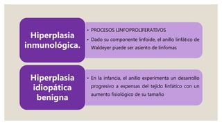 • PROCESOS LINFOPROLIFERATIVOS
• Dado su componente linfoide, el anillo linfático de
Waldeyer puede ser asiento de linfomas
Hiperplasia
inmunológica.
• En la infancia, el anillo experimenta un desarrollo
progresivo a expensas del tejido linfático con un
aumento fisiológico de su tamaño
Hiperplasia
idiopática
benigna
 