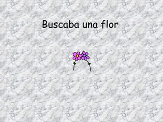 Buscaba una flor