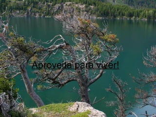 Aproveita para viver!   