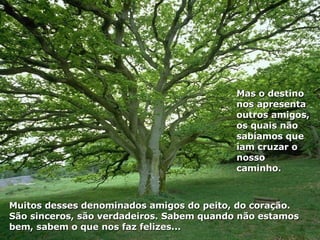 Muitos desses denominados amigos do peito, do coração. São sinceros, são verdadeiros. Sabem quando não estamos bem, sabem o que nos faz felizes... Mas o destino nos apresenta outros amigos, os quais não sabíamos que iam cruzar o nosso caminho.  