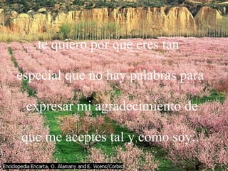 te quiero por que eres tan especial que no hay palabras para expresar mi agradecimiento de que me aceptes tal y como soy..