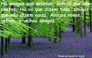 Há amigos que deliram, outros que são
poetas. Há os que dizem tudo, amigos
que não dizem nada. Amigos novos,
velhos, e velhos amigos.




                       Bosque perfumado de lavanda
 