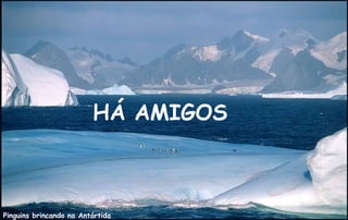 HÁ AMIGOS



Pinguins brincando na Antártida
 