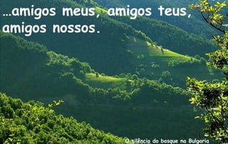 …amigos meus, amigos teus,
amigos nossos.




                O silêncio do bosque na Bulgaria
 