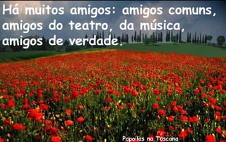 Há muitos amigos: amigos comuns,
amigos do teatro, da música,
amigos de verdade.




                 Papoilas na Toscana
 