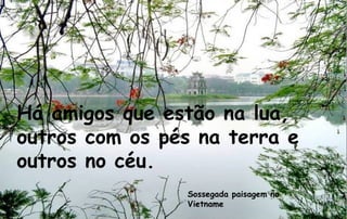 Há amigos que estão na lua,
outros com os pés na terra e
outros no céu.
                Sossegada paisagem no
                Vietname
 