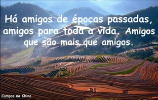 Há amigos de épocas passadas,
amigos para toda a vida. Amigos
           que são mais que amigos.




Campos na China
 