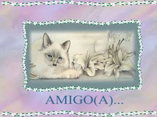 AMIGO(A)... 