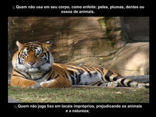 :. Quem não usa em seu corpo, como enfeite: peles, plumas, dentes ou
ossos de animais.
:. Quem não joga lixo em locais impróprios, prejudicando os animais
e a natureza;
 