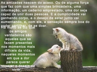 As amizades nascem do acaso. Ou de alguma força que faz com que uma simples brincadeira, uma informação, um caderno emprestado, uma dor seja capaz de unir duas pessoas. E a cumplicidade vai ganhando corpo, e o desejo de estar junto vai aumentando, e, com ele, a sensação sempre boa do poder partilhar, de se doar. Há muito se diz que os amigos verdadeiros são aqueles que se fazem presentes nos momentos mais difíceis da vida, naqueles momentos em que a dor parece querer superar o desejo de viver.  