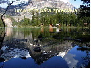 uma hora para apreciá-la   
