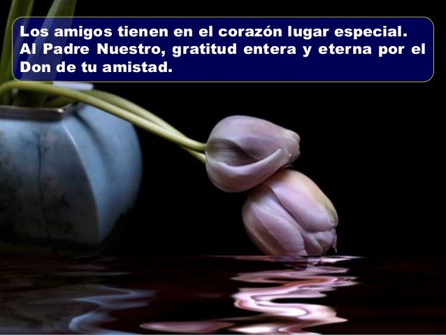 Amigo Cristo carta