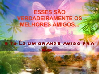 ESSES SÃO VERDADEIRAMENTE OS MELHORES AMIGOS... E TU ÉS UM GRANDE AMIGO PRA MIM... 