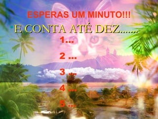 ESPERAS UM MINUTO!!! E CONTA ATÉ DEZ....... 1... 2 ... 3 ... 4 ... 5  ... 