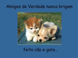 Amigos de Verdade nunca brigam




       feito cão e gato…
 
