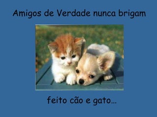 Amigos de Verdade nunca brigam
feito cão e gato…
 