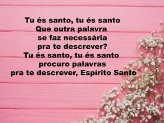 Tu és santo, tu és santo
Que outra palavra
se faz necessária
pra te descrever?
Tu és santo, tu és santo
procuro palavras
pra te descrever, Espírito Santo
 