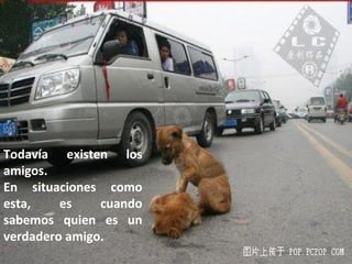 Todavía existen los
amigos.
En situaciones como
esta,    es    cuando
sabemos quien es un
verdadero amigo.
 