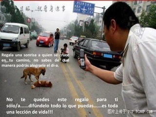 Regala una sonrisa a quien se cruce
en tu camino, no sabes de qué
manera podrás alegrarle el dí­a.




  No     te      quedes    este   regalo    para      ti
  sólo/a......difúndelo todo lo que puedas......es toda
  una lección de vida!!!
 