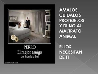 AMALOS
CUIDALOS
PROTEJELOS
Y DI NO AL
MALTRATO
ANIMAL
ELLOS
NECESITAN
DE TI
 