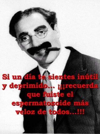 Si un día te sientes inútil y deprimido… ¡¡¡recuerda que fuiste el espermatozoide más veloz de todos…!!! 
