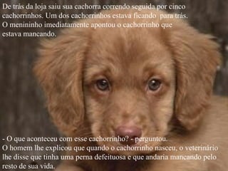 De trás da loja saiu sua cachorra correndo seguida por cinco
cachorrinhos. Um dos cachorrinhos estava ficando para trás.
O menininho imediatamente apontou o cachorrinho que
estava mancando.




- O que aconteceu com esse cachorrinho? - perguntou.
O homem lhe explicou que quando o cachorrinho nasceu, o veterinário
lhe disse que tinha uma perna defeituosa e que andaria mancando pelo
resto de sua vida.
 