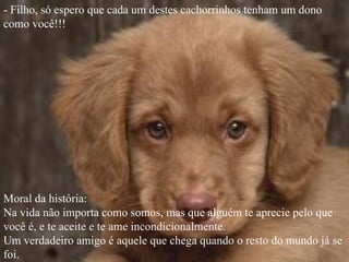 - Filho, só espero que cada um destes cachorrinhos tenham um dono
como você!!!




Moral da história:
Na vida não importa como somos, mas que alguém te aprecie pelo que
você é, e te aceite e te ame incondicionalmente.
Um verdadeiro amigo é aquele que chega quando o resto do mundo já se
foi.
 
